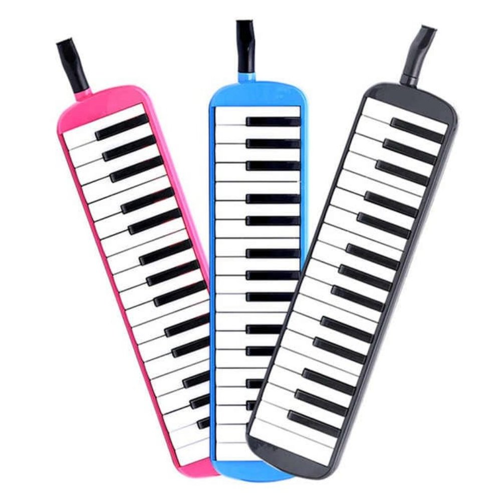 32- Key Tone Organ, Students and Children Beginners Playing Musical Instruments